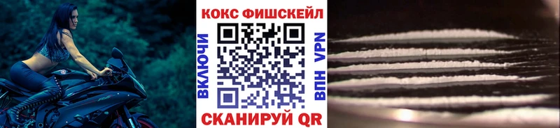 где купить   Магас  Cocaine Перу 