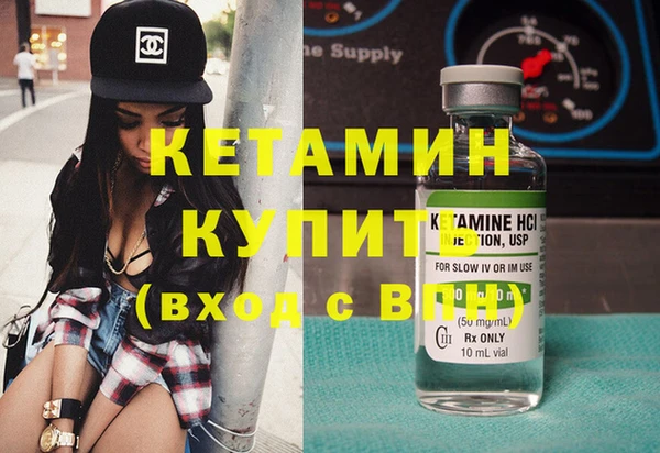 крисы Баксан