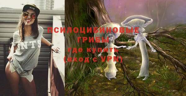 крисы Баксан