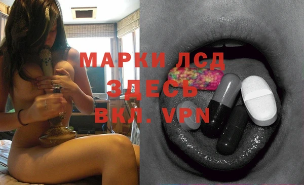индика Балабаново