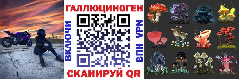 продажа наркотиков  Магас  Псилоцибиновые грибы Cubensis 